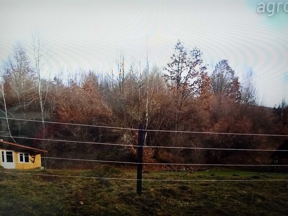 gard electric ,imprejmuire