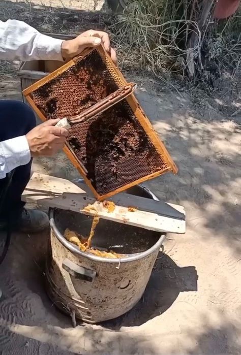 Продается натуральный мёд разнотравья