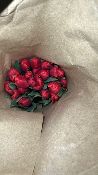 Тюльпан Оптом Астана