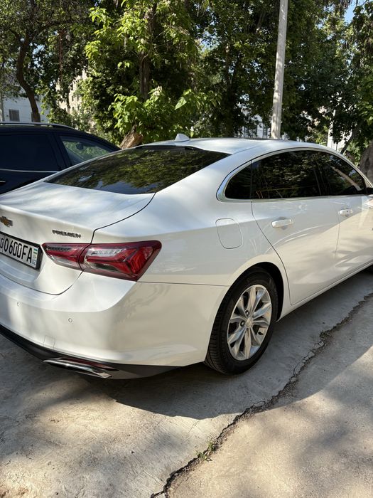 Malibu primer 2022 oq