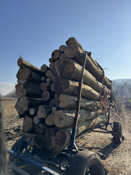 Vand caruta r16 fata spate