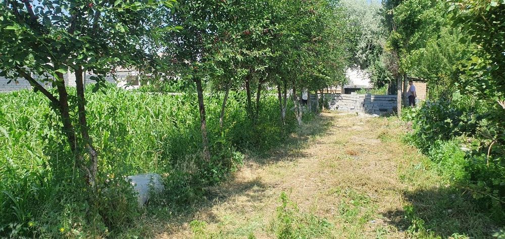 Yer uchastka Kadastr chiqgan