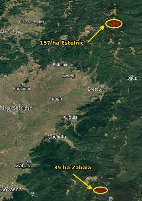Padure rasinoase Covasna , 157 ha Estelnic + 35 ha Zabala