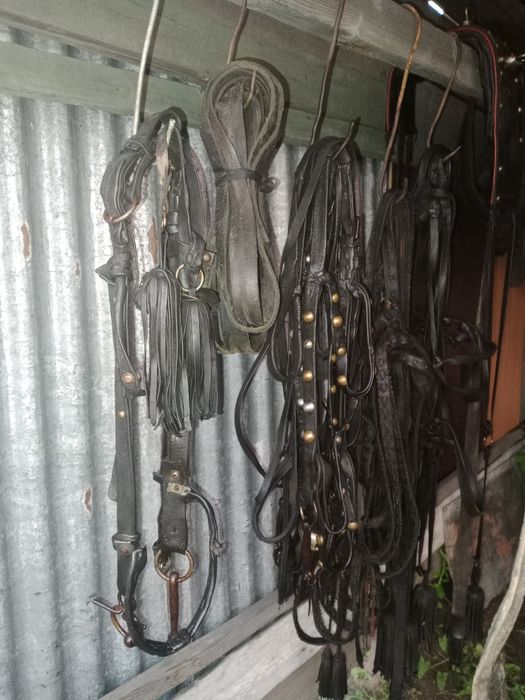 Продам сбрую троешный комплект