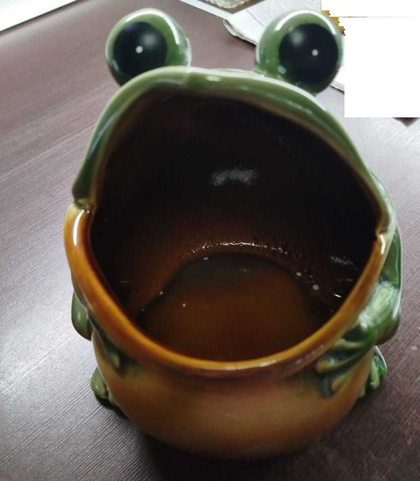 Копилка денежная – Лягушка