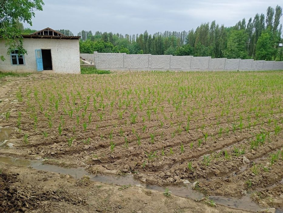 Yer maydoni sotiladi. Narxini kelishamiz.