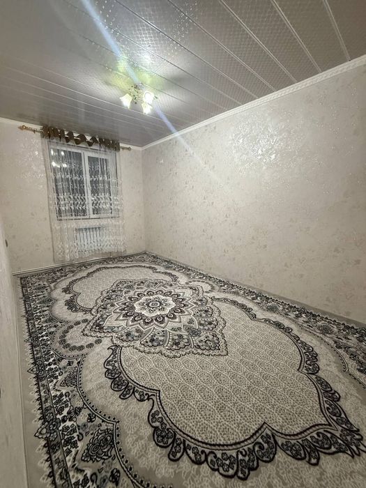 1-xonali Universitet atrofida sotiladi.