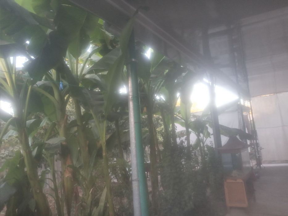 7 Xonali Uy 
6 Sotig owhona alohida