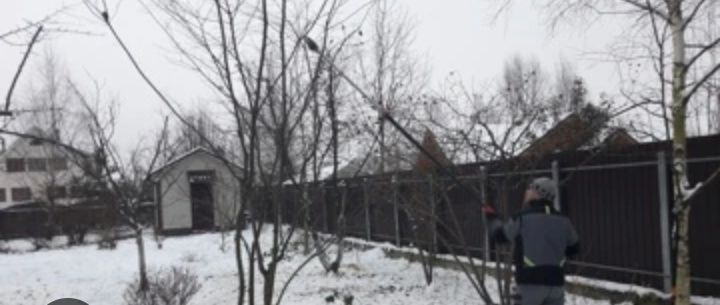 Обрезка Плодовых деревьев