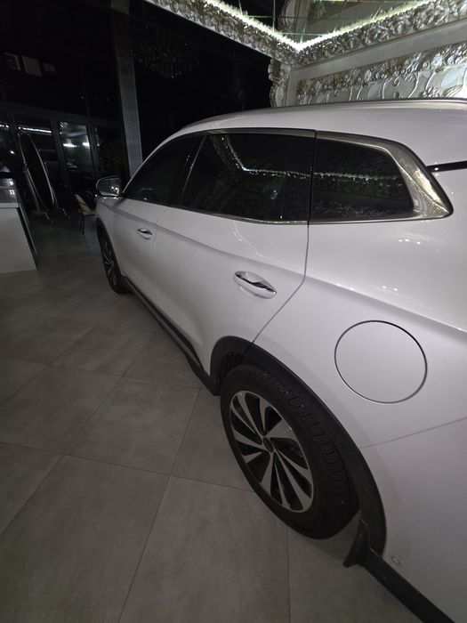 BYD  чемпион  2024  йил