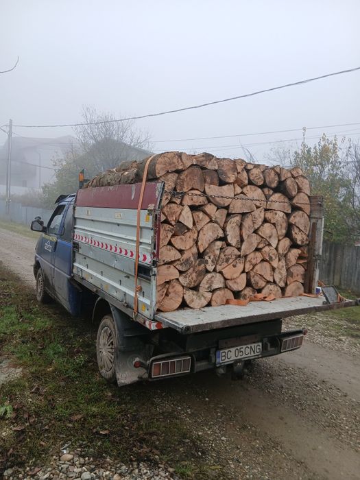 Vând lemne fag stejar tăete transport in jud bacau neamt Vaslui