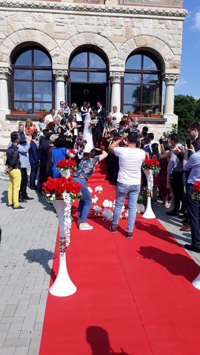 Porumbei albi pt evenimente speciale din viata dv