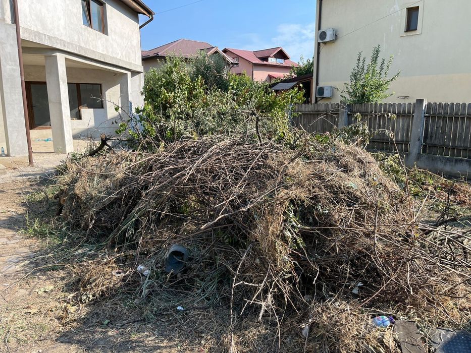 Debarasam apartamente