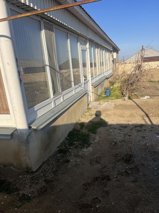 Кызылтобе-2 ден улкен уй сатылады