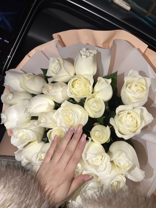 Цветы белый роза