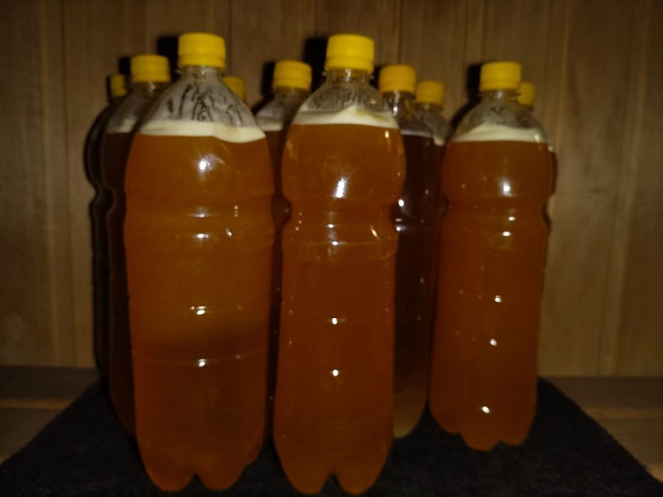 Продам мед (жидкий)