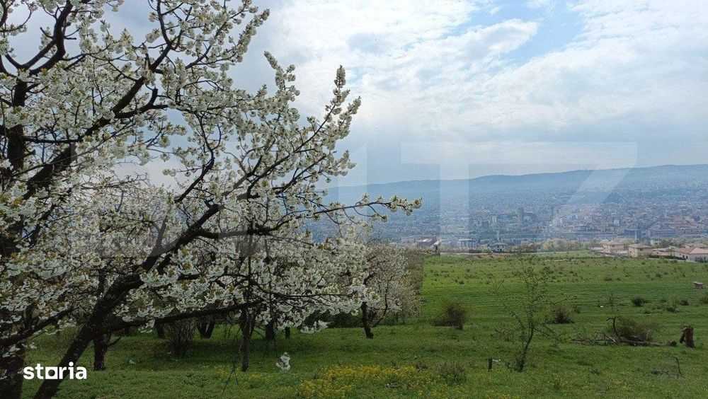 Teren extravilan, Dambul Rotund, 8310 mp