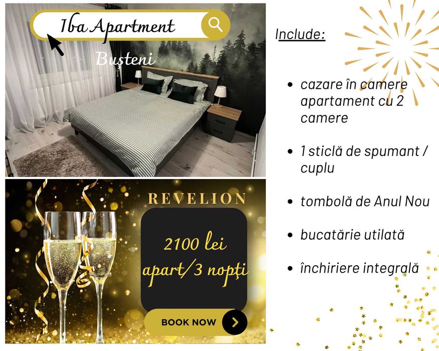 Apartament regim hotelier Busteni - Iba Apartment