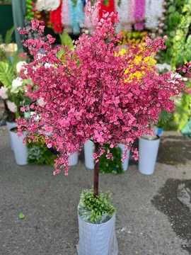 Офислар учун дарахт