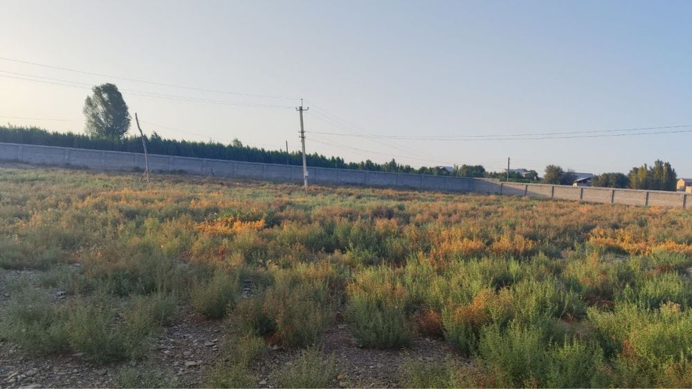 Паррандачилик ва Чорвачилик  фермаси сотилади