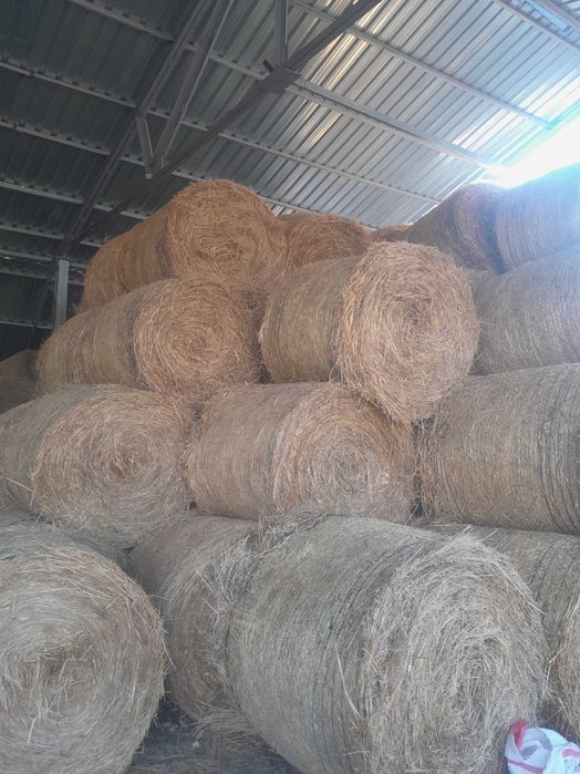 Продавям бали слама