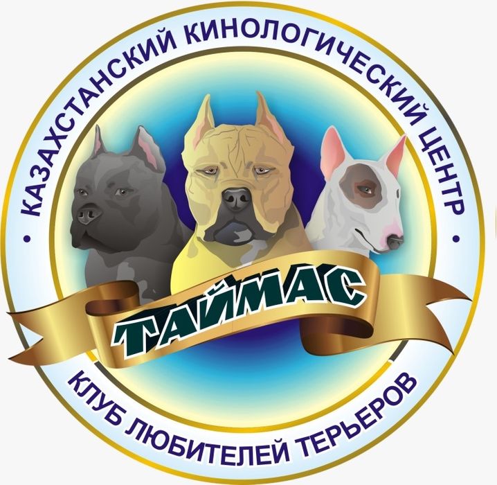 Открыт для Вязок Английский бультерьер