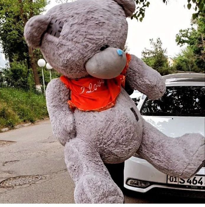 Teddy Тедди  Yumshoq oyinchoqlar (30sm 3m)