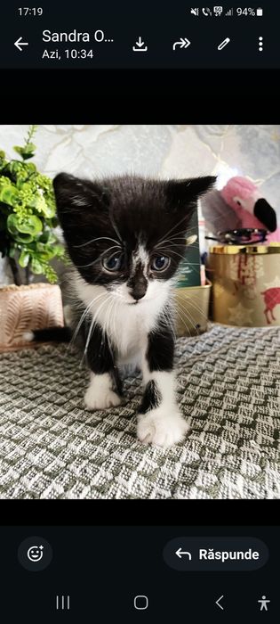 Ofer spre adoptie