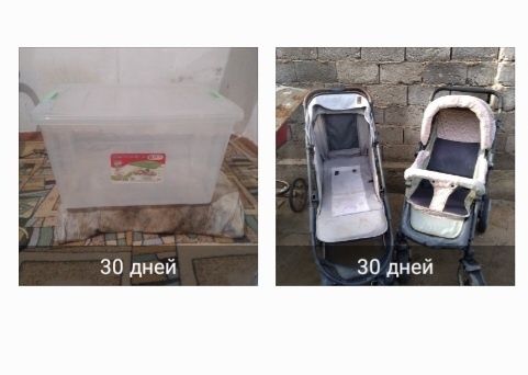 Коляски.  Контейнер.  Продам по 5000 тысяч . Пишите на вацап.