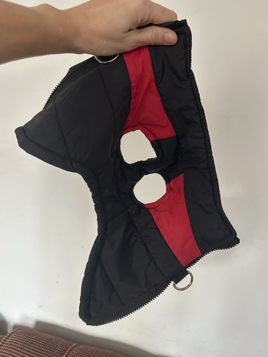 Одежда для животных