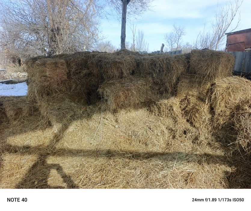 Шоп сатам шоп сатам