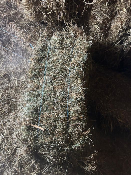 Baloți de lucerna de vanzare