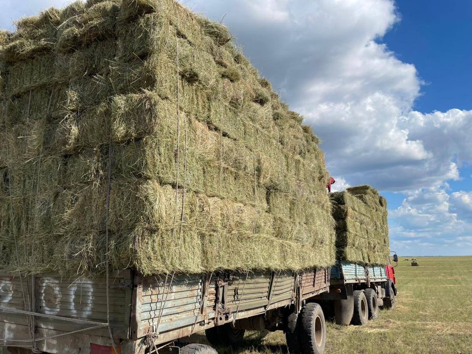 Продам сена с доставкой
