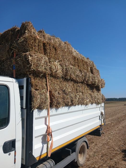 Baloti de paie de grâu