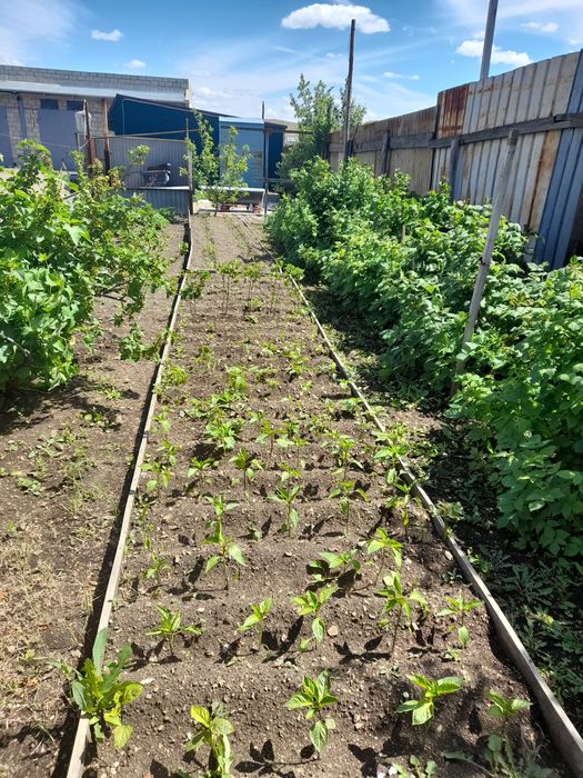 Коттедж 2-хэтажный.