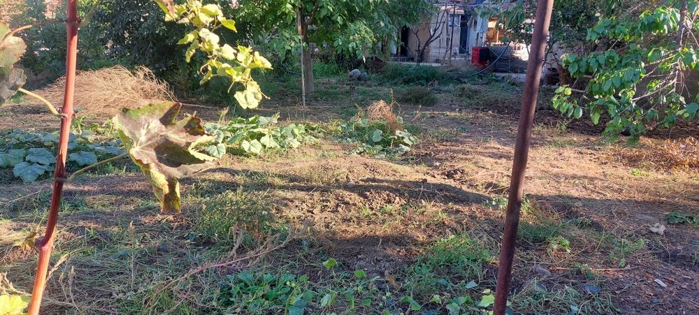 Quruq erni o'zi sotama