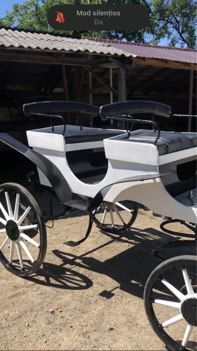 Vand șaretă/caleașcă pentru cai