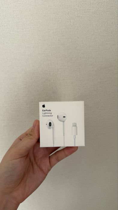 Earpods проводные