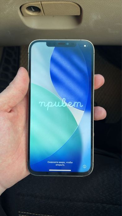 12 про макс 12pro maks