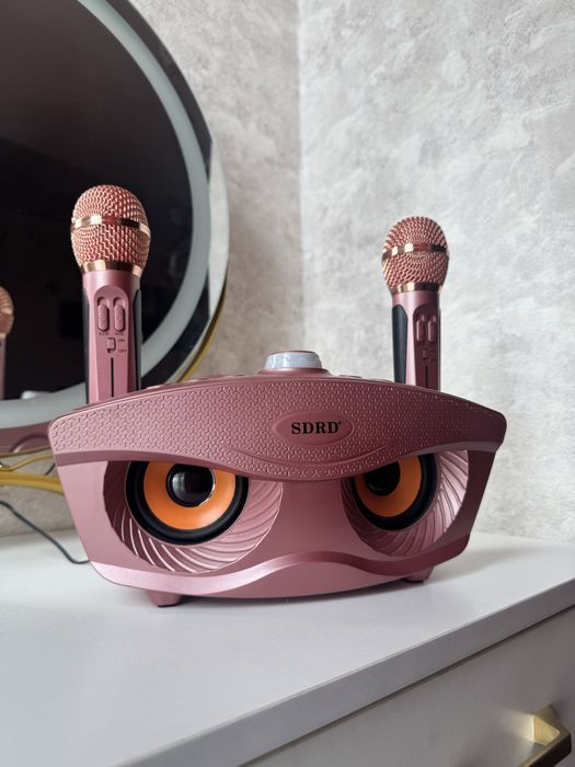 Микрафоны караоке с калонкой