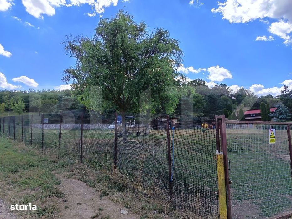 Teren de vanzare, 6500 mp cu livada, zona Mihai Viteazu