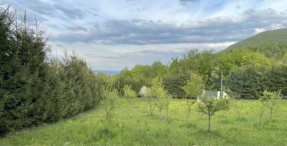 Vând teren intravilan sau schimb cu apartament in Sighet sau Baia Mare + diferenta din partea mea
