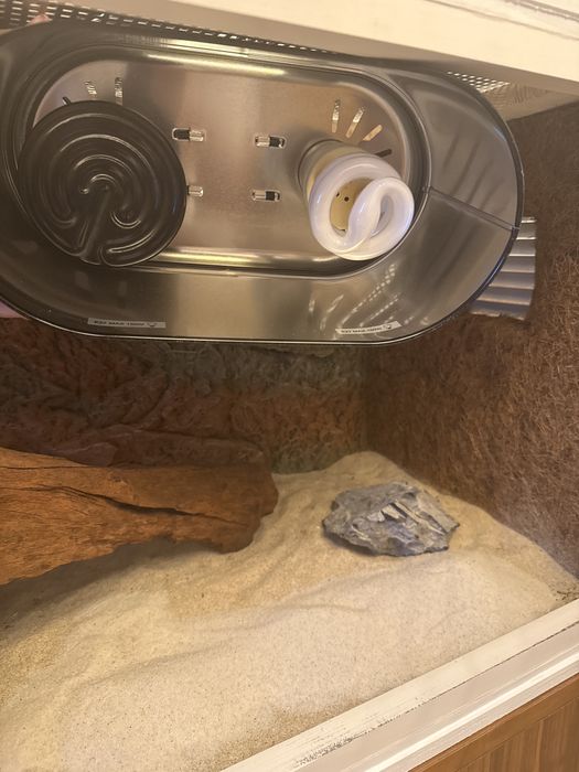 Acvariu, terariu, vivariu