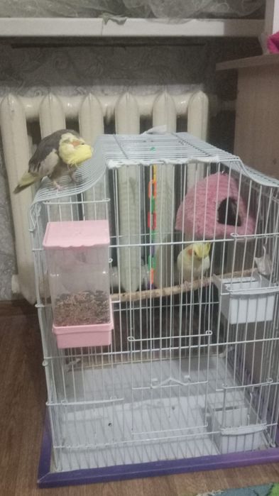 Карелла 2штук.клетка дом