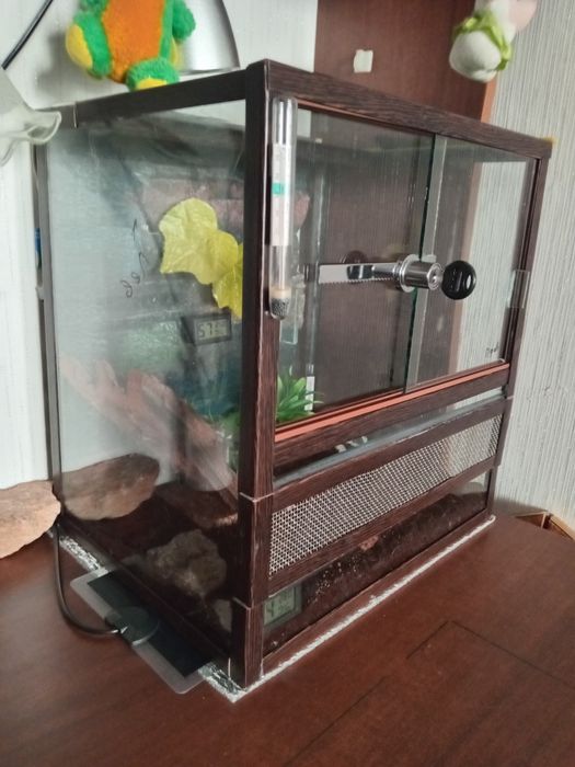 Террариум Террариум