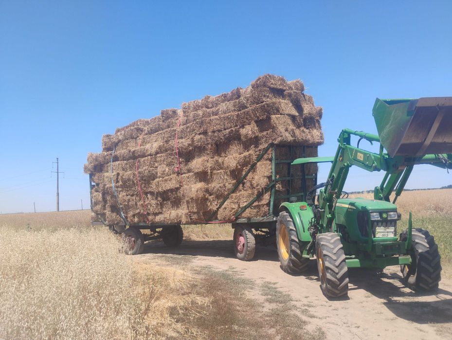 Vând baloți de fan