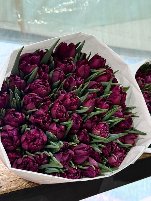 Тюльпаны оптом и в розницу