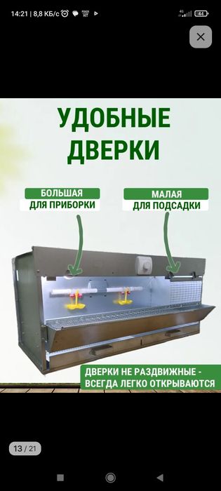 Браудер для цыплят