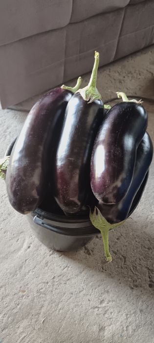 Продам домашнии баклажаны