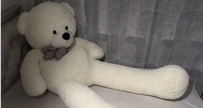 Плюшевый медведь